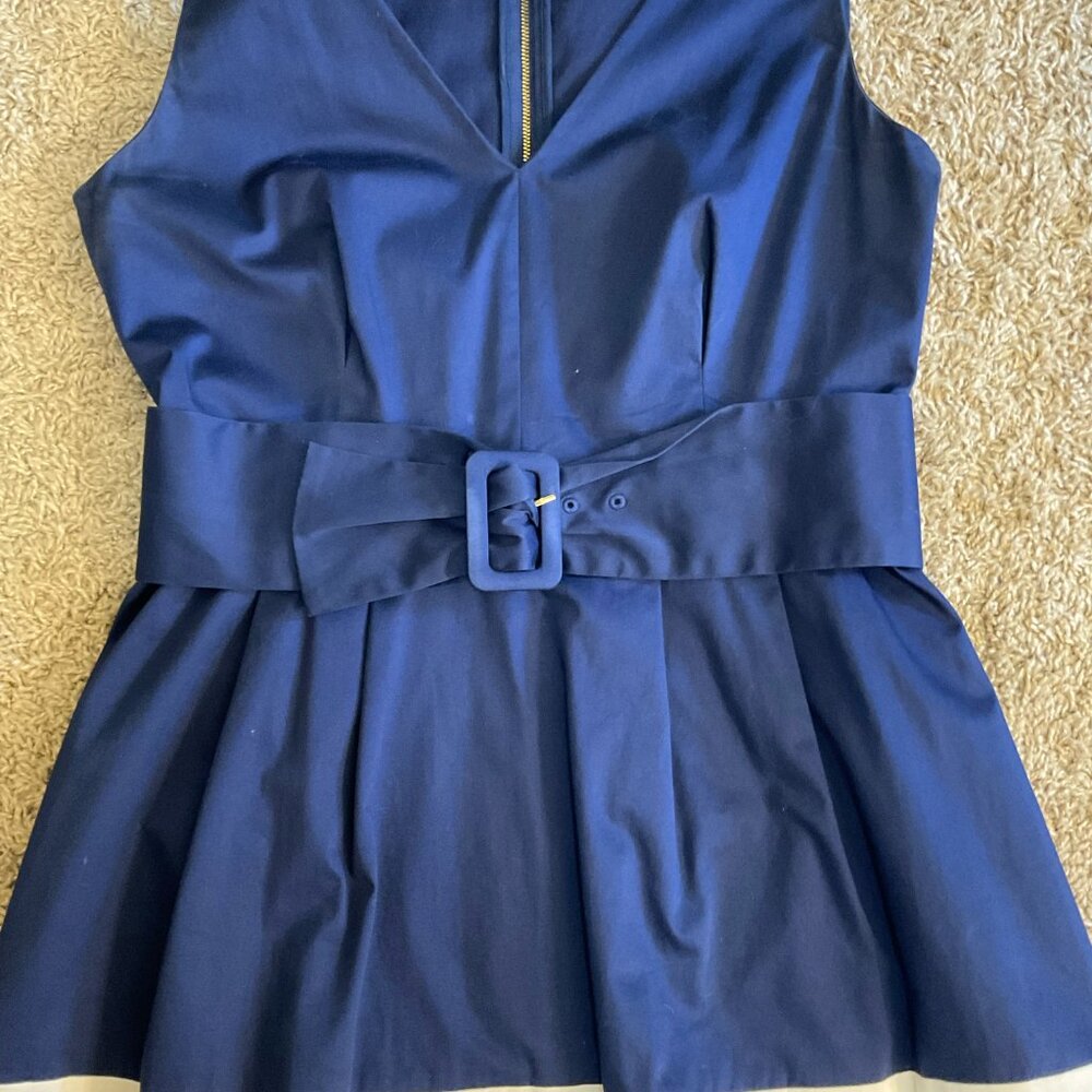 Kate Spade ♠️ Sawyer Sleeveless V-Neck Pleated Fit & Flare Dress, Blue, Size 12 - Picture 5 of 11